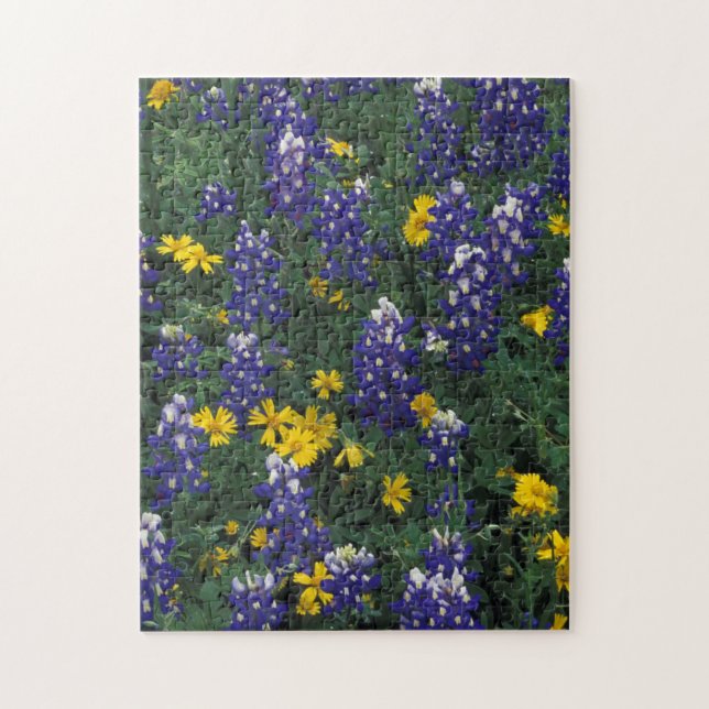 Puzzle N.A, EE. UU., Texas, Marble Falls, Blue Bonnets (Vertical)