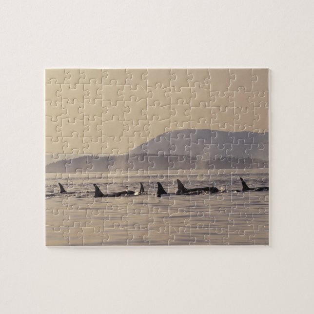 Puzzle N.A., EE.UU., Washington, Islas San Juan Orca (Horizontal)