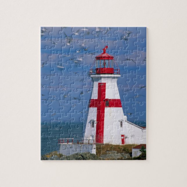 Puzzle NA, Canadá, Nuevo Brunswick, Isla Campobello. 8 (Vertical)