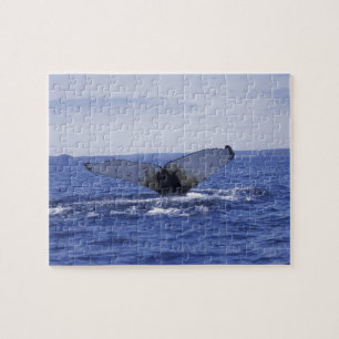 Puzzle NA, Canadá, Terranova, bahía de Trinity. Jorobada