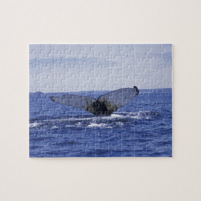 Puzzle NA, Canadá, Terranova, bahía de Trinity. Jorobada (Horizontal)