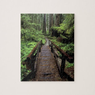 Puzzle NA, EE. UU., California, Jedidiah Smith Redwoods