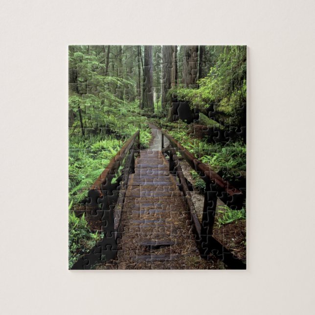 Puzzle NA, EE. UU., California, Jedidiah Smith Redwoods (Vertical)