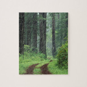 Puzzle NA, EE. UU., California. Parque Estatal Costa Del