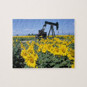 Puzzle Na, EE. UU., Colorado, Girasoles, Torre de perfora