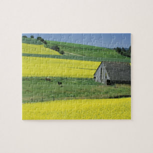 Puzzle NA, EE. UU., Idaho, cerca de Potlatch, Canola y an
