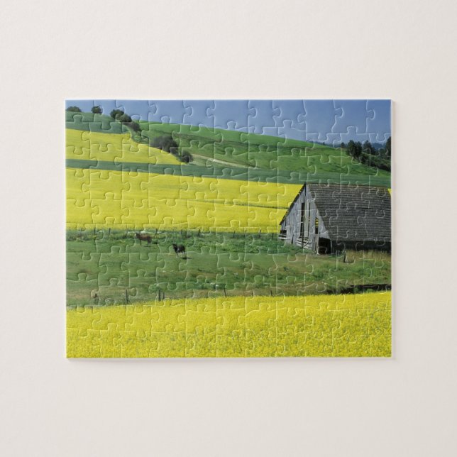Puzzle NA, EE. UU., Idaho, cerca de Potlatch, Canola y an (Horizontal)
