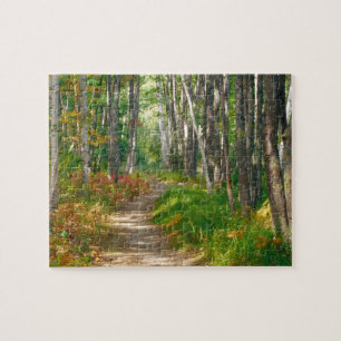 Puzzle NA, EE. UU., Maine.  Sendero Jessup en Acadia Nati