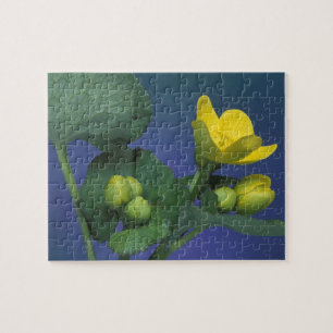 Puzzle NA, EE. UU., Michigan, Rochester Hills. Marisma