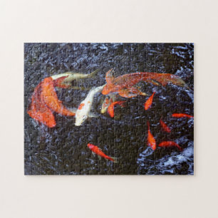 Puzzle Nadando Koi
