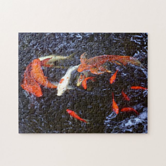 Puzzle Nadando Koi (Horizontal)