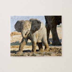 Puzzle Namibia, África: cría de elefante africano