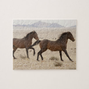 Puzzle Namibia, Aus. Caballos salvajes corriendo en el Na