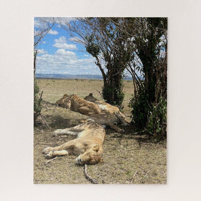 Puzzle Nap Time for Lions Kenya (Vertical)