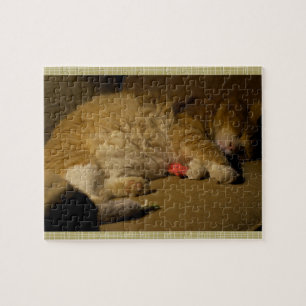 Puzzle Napa de gato