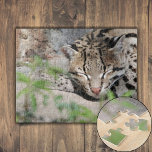 Puzzle Napping Ocelot<br><div class="desc">Un Ocelot se siesta detrás de los arbustos en una fresca mañana de marzo. Los focos y rayas cubren su suave piel de color marrón, ofreciendo camuflaje a la luz solar acoplada. Sus oídos están alerta, escaneando cualquier ruido que pueda indicar una posible presa o una amenaza. Sus ojos están...</div>