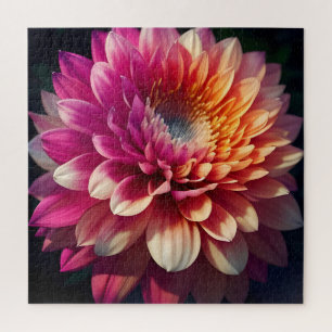 Puzzle Naranja blanco amarillo rosa morado azul dahlia fl