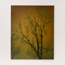 Naranja Brown
