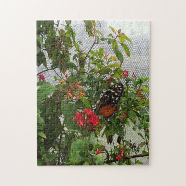 PUZZLE NARANJA BUTTERFLY (Vertical)