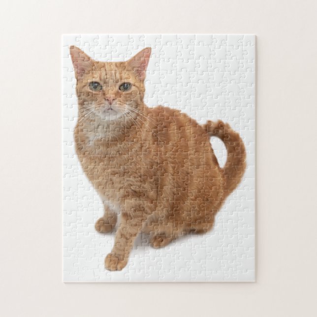 Puzzle Naranja Cat Standing (Vertical)