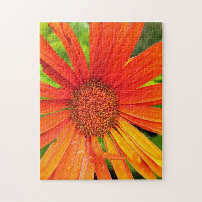 Puzzle Naranja Daisy (Vertical)
