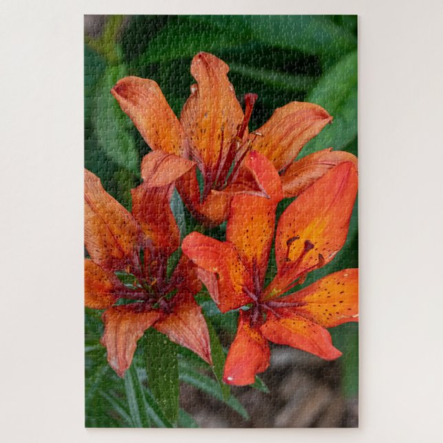 Puzzle Naranja Daylily Canadian Flower Photography (Vertical)