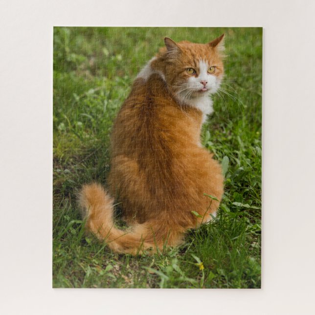 Puzzle Naranja de pelo largo y suave Tabby Cat (Vertical)