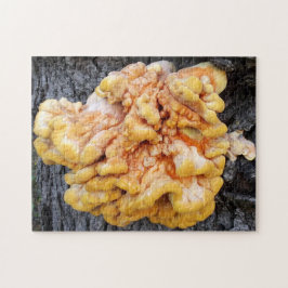 Puzzle Naranja Fungus