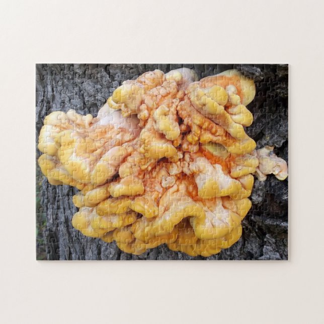 Puzzle Naranja Fungus (Horizontal)