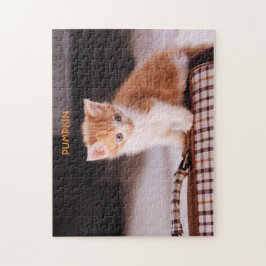 Puzzle Naranja gato en un portador mascota / Naranja Kitt