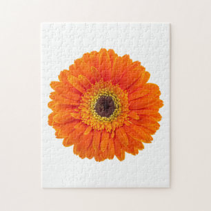 Puzzle Naranja Gerbera Daisy