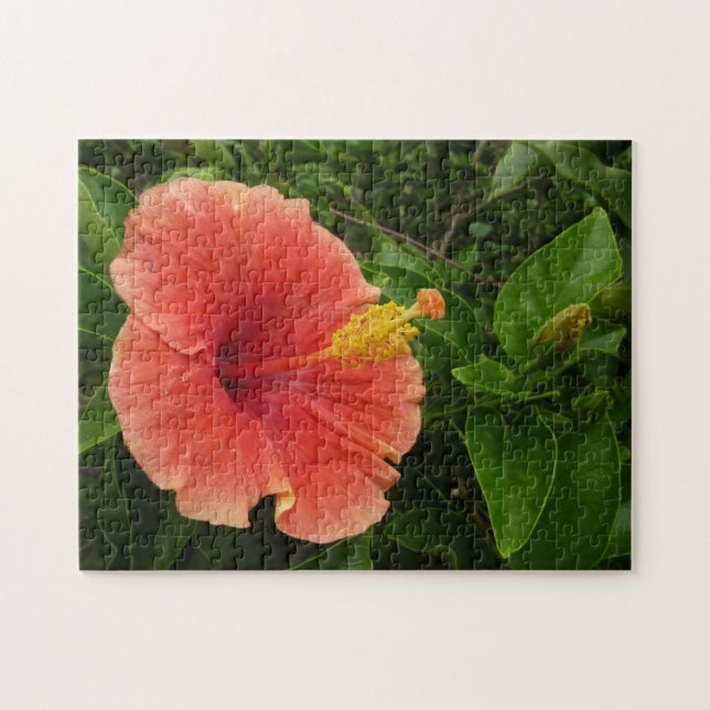 Puzzle Naranja Hibiscus Flower Tropical Floral (Horizontal)