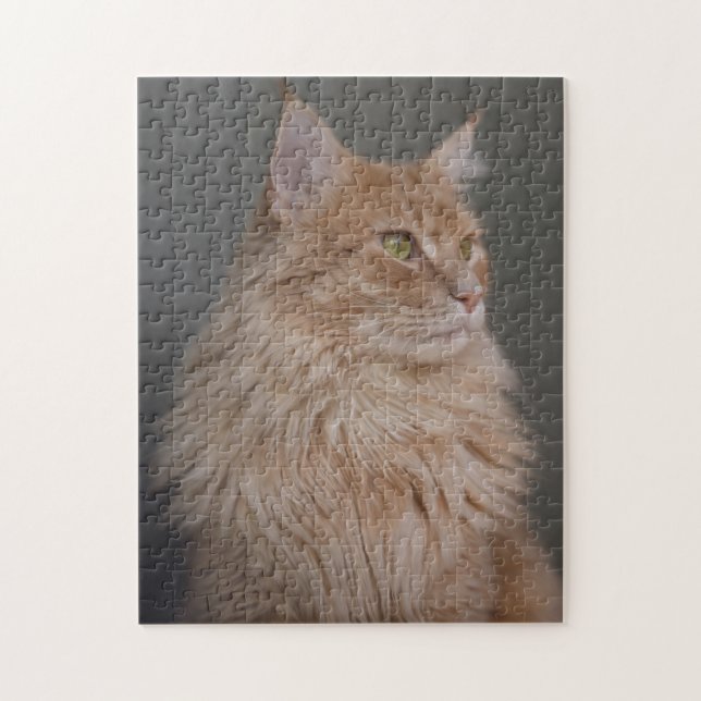 Puzzle Naranja Longhair Cat (Vertical)