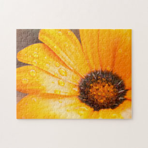 Puzzle Naranja Primavera Flash Africano Daisy Close Photo