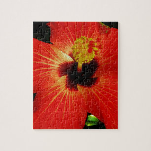 Puzzle Naranja rojo brillante Hibiscus Flower