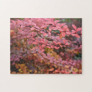 Puzzle Naranja Rojo Foliage otoño deja foto de la natural