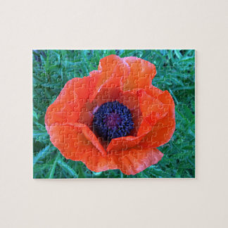 Puzzle NARANJA rojo oriental POPPY —