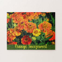 Puzzle Naranja Sneezeweed Helenium Garden Flores