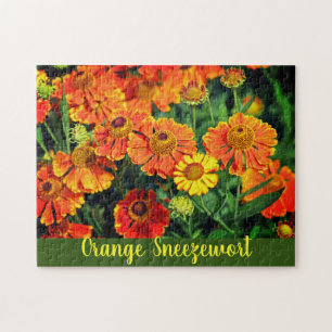 Puzzle Naranja Sneezeweed Helenium Garden Flores