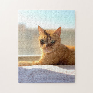 Puzzle Naranja Tabby Cat