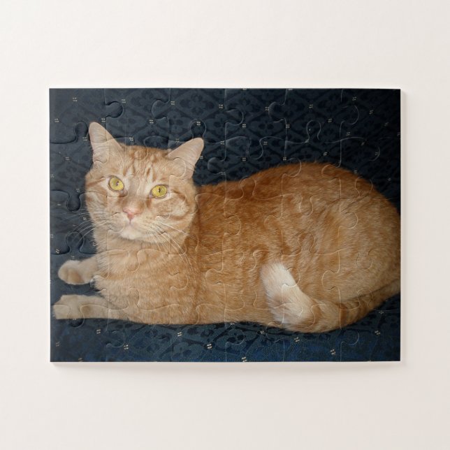 Puzzle Naranja Tabby Cat (Horizontal)