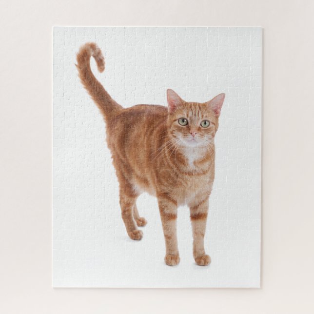 Puzzle Naranja Tabby Cat (Vertical)
