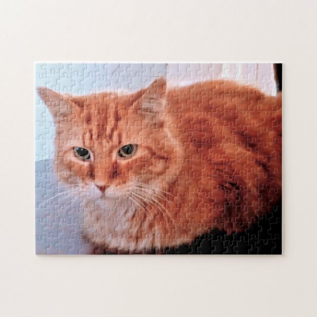 Puzzle Naranja Tabby Mascota de la familia de fotos de ga (Horizontal)