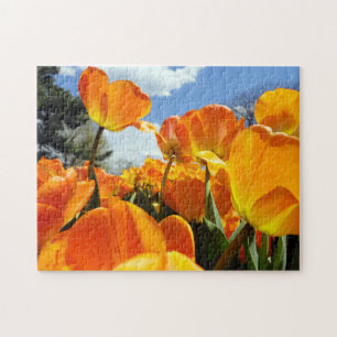 Puzzle Naranja Tulip llegando al cielo