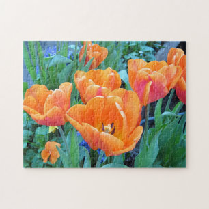 Puzzle Naranja Tulips