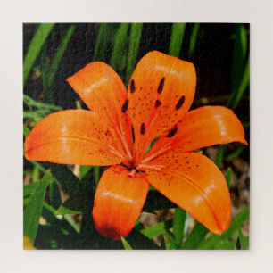 Puzzle Naranja vibrante Lily Flower asiática