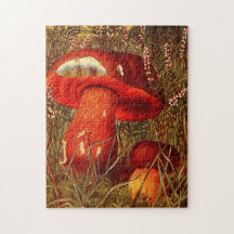 Naranja Vintage Mushrooms - Boletus Luridus