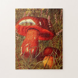 Puzzle Naranja Vintage Mushrooms - Boletus Luridus