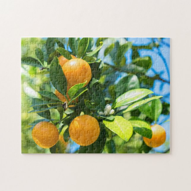Puzzle Naranjo en fruto (Horizontal)