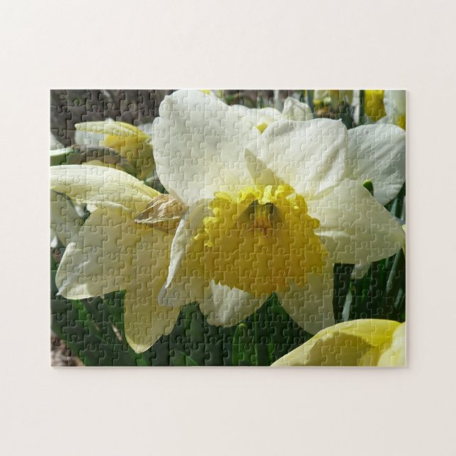 Puzzle Narciso floral primaveral amarillo y blanco (Horizontal)
